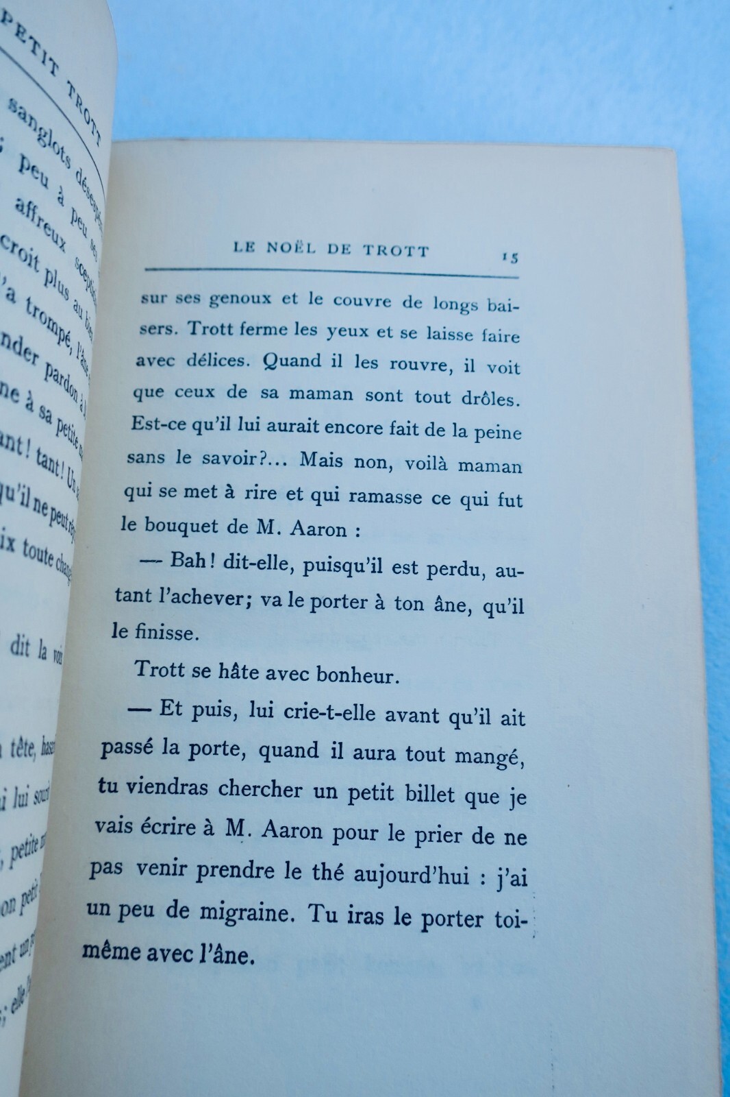 LICHTENBERGER MON PETIT TROTT – Image 4