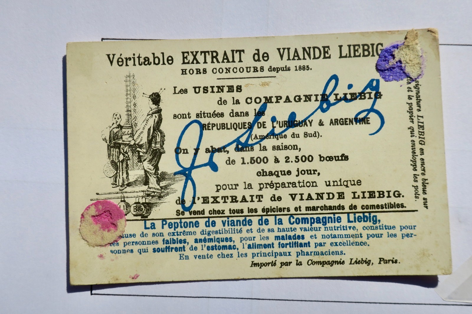 Liebig Luzern und Hamburg & Marseille