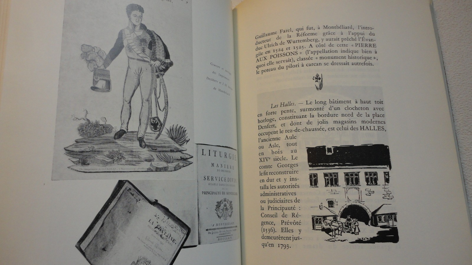Montbéliard RENARD Le pays de montbéliard + dédicace - La Librairie Antique