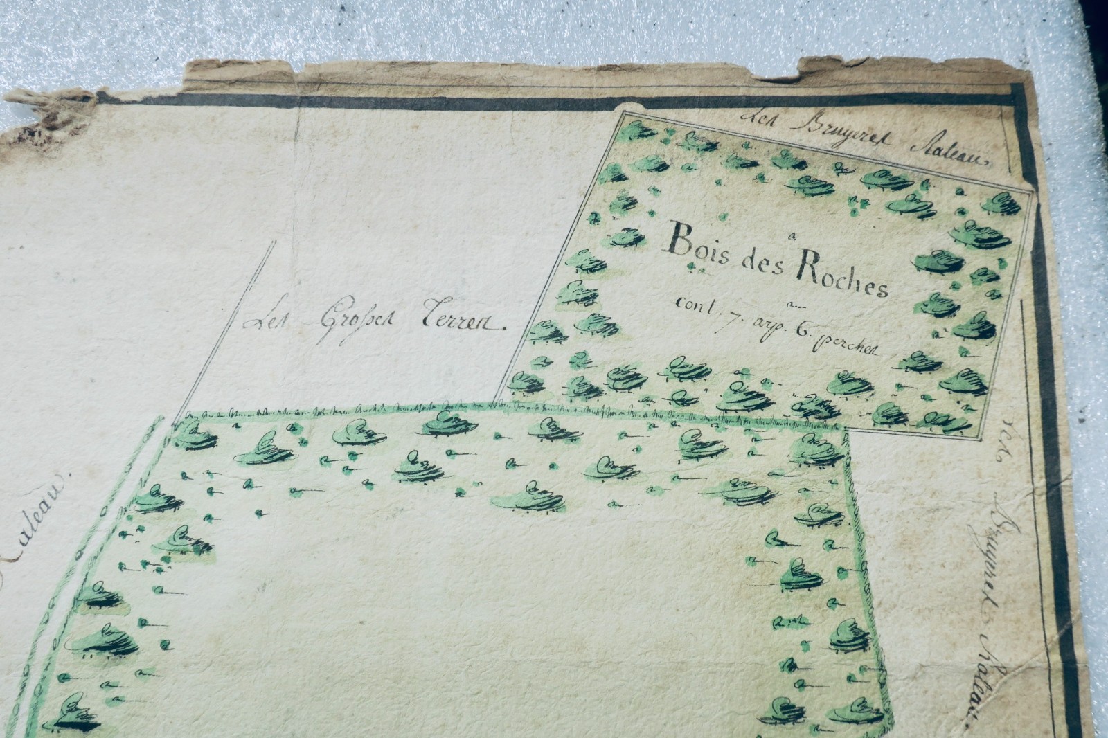 Moulins wood from the general hospital parish of Chesi 1780