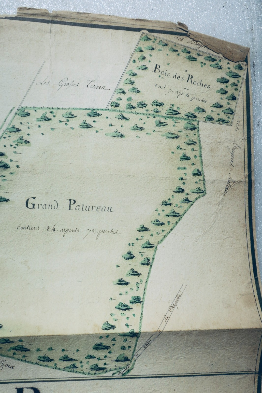 Moulins wood from the general hospital parish of Chesi 1780