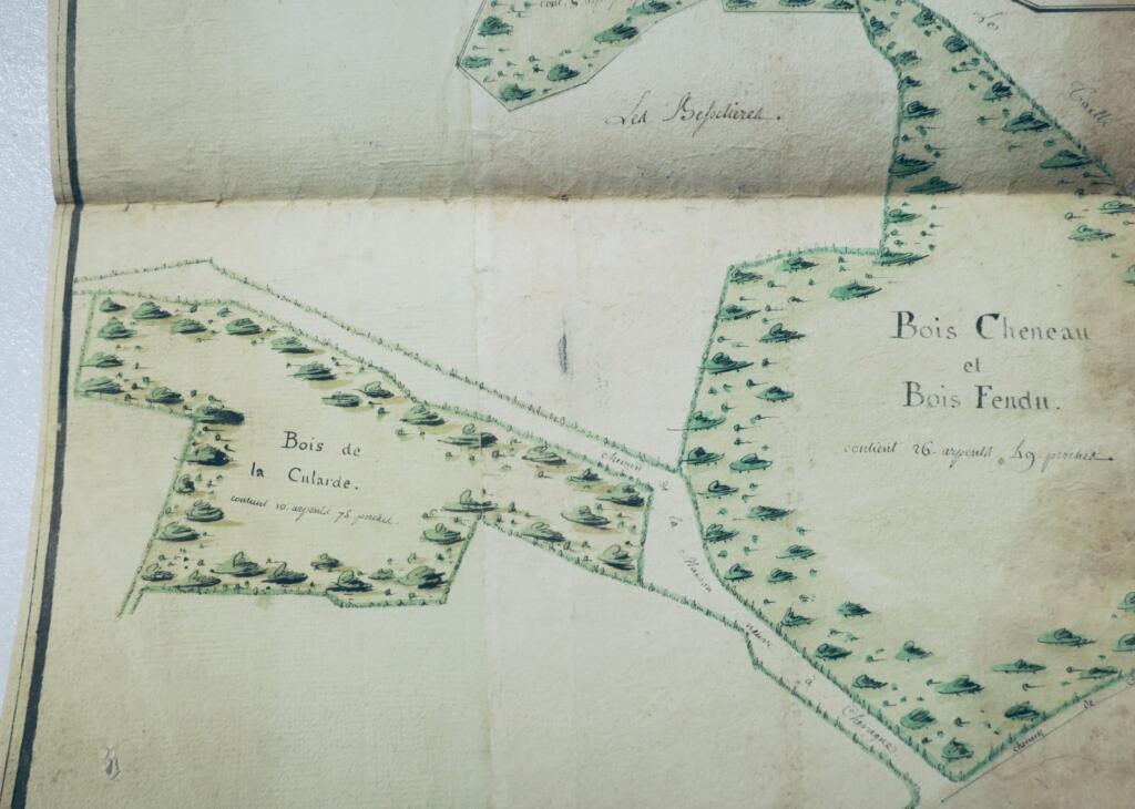 医院总院的木制磨坊 Paroisse de Chesi 1780