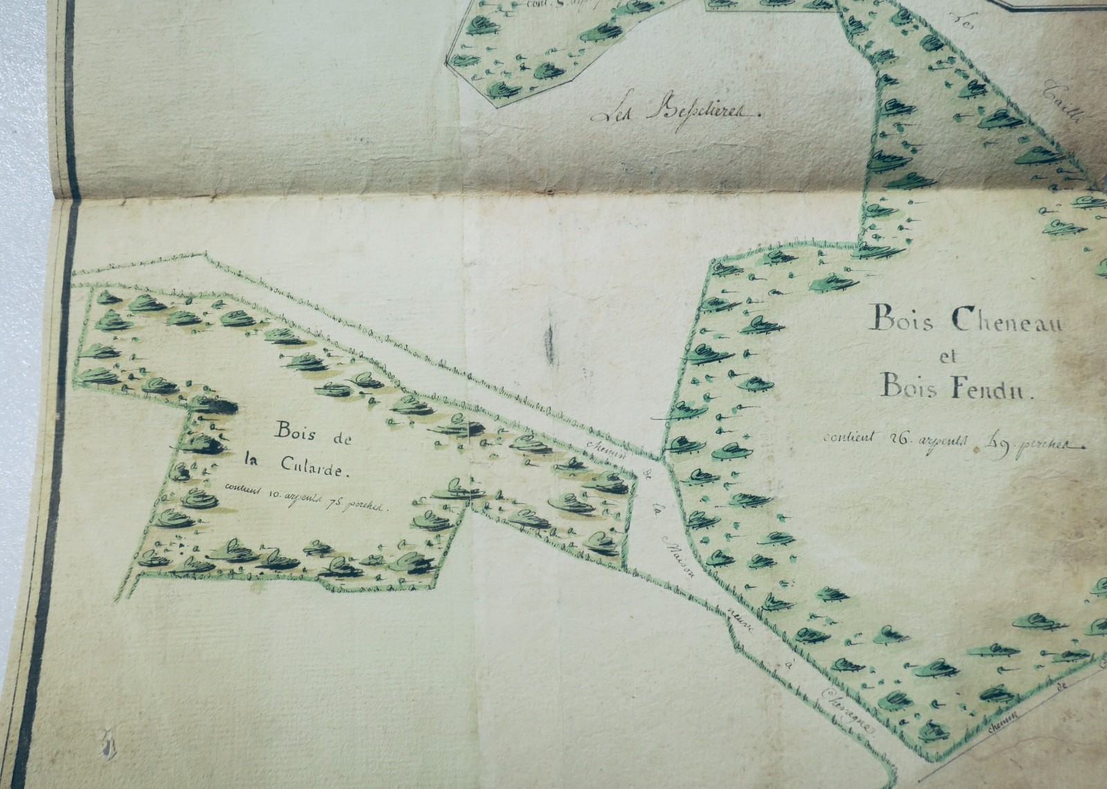 Moulins wood from the general hospital parish of Chesi 1780