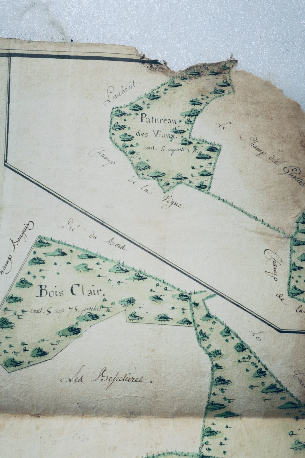 Moulins wood from the general hospital parish of Chesi 1780