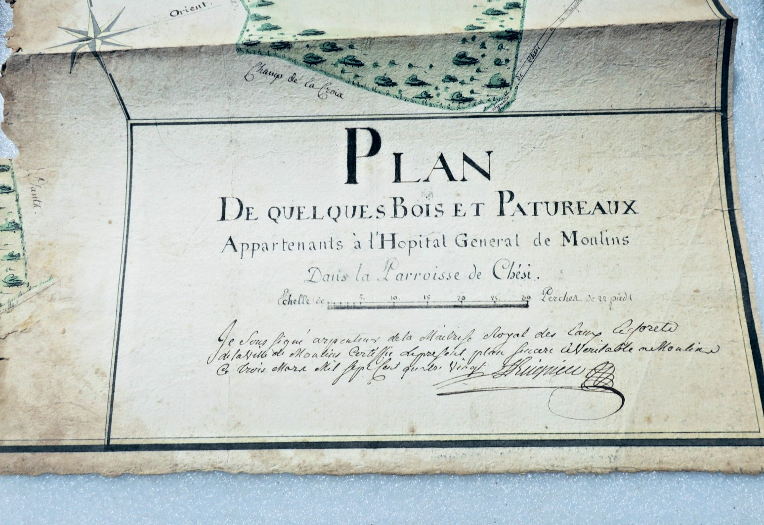 Moulins wood from the general hospital parish of Chesi 1780