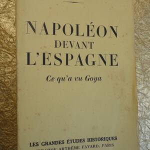 Napoléon devant l'Espagne. Ce qu'a vu Goya