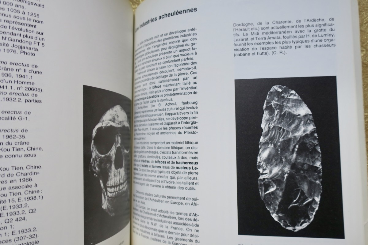 Origins of Man. MUSEUM OF MANKIND. 1976