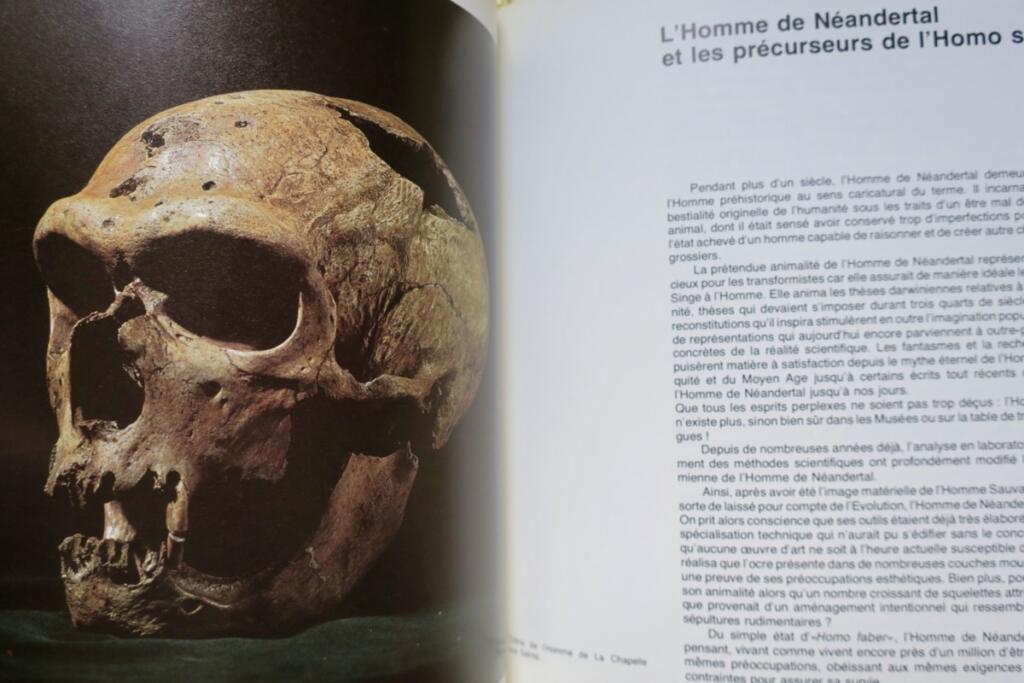 Ursprünge des Menschen. MUSEE DE L’HOMME. 1976