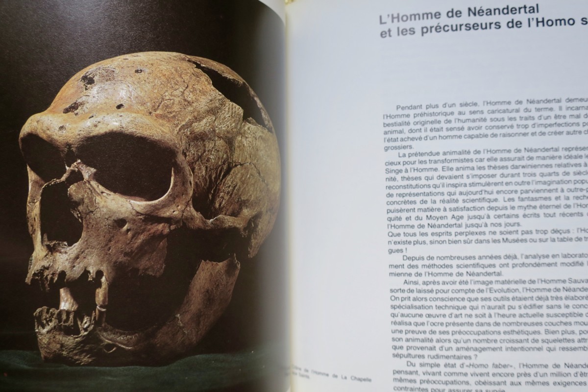 Origins of Man. MUSEUM OF MANKIND. 1976