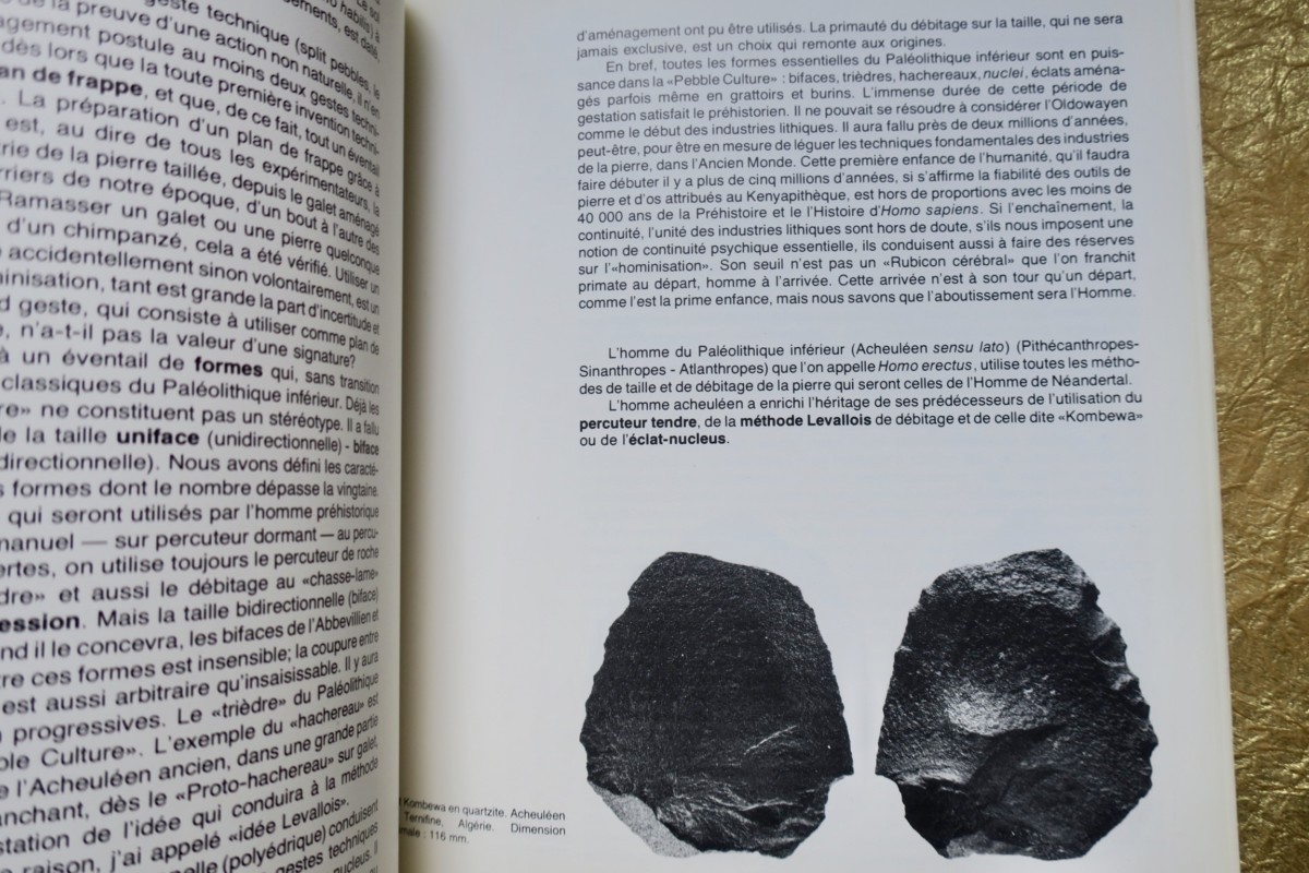 Origins of Man. MUSEUM OF MANKIND. 1976