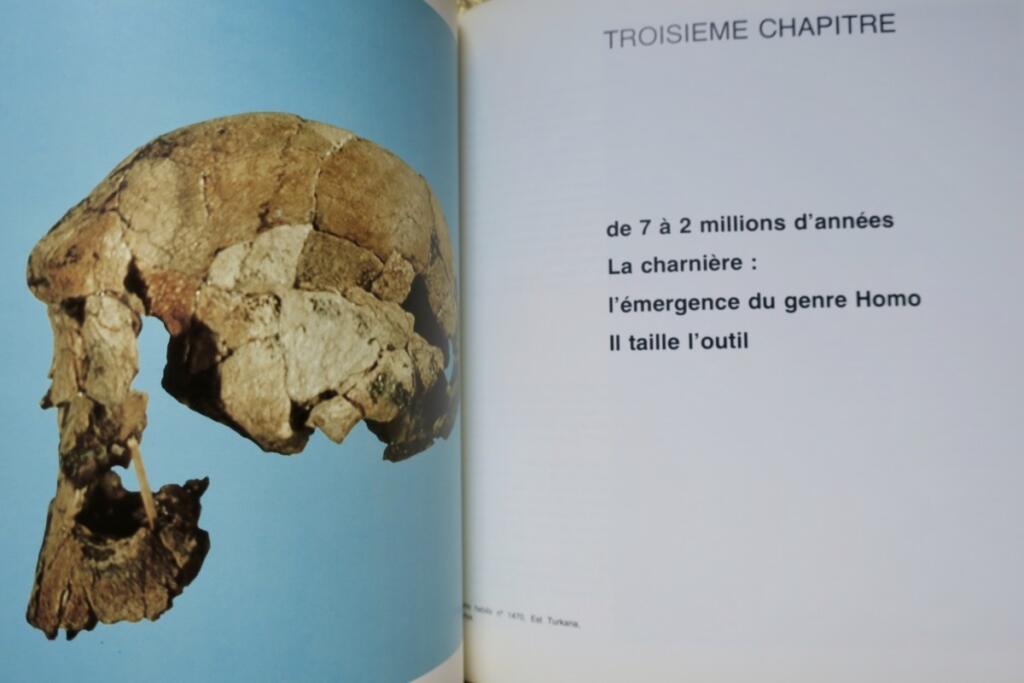 Ursprünge des Menschen. MUSEE DE L’HOMME. 1976