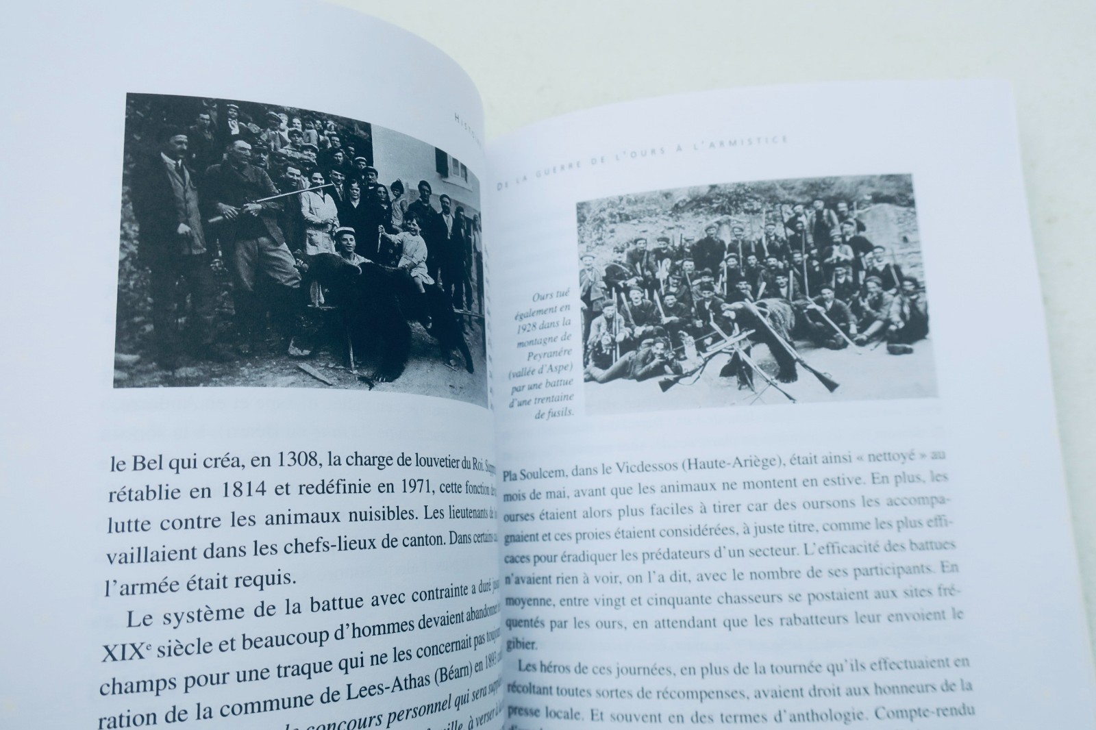 《比利牛斯山熊类历史》