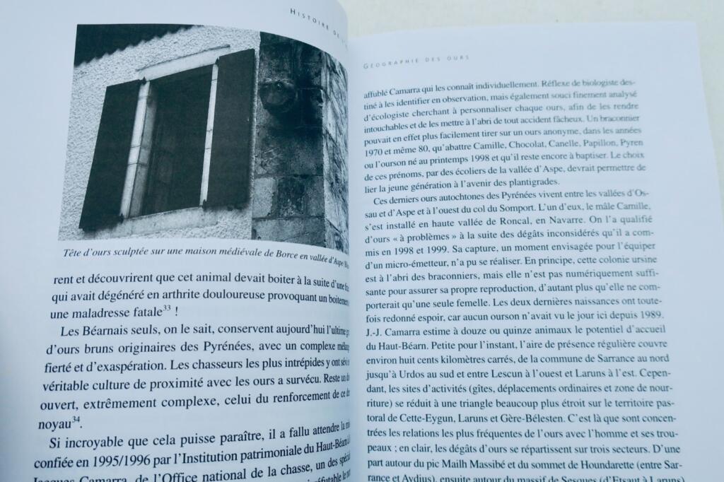 熊 Histoire de l'ours dans les Pyrénées