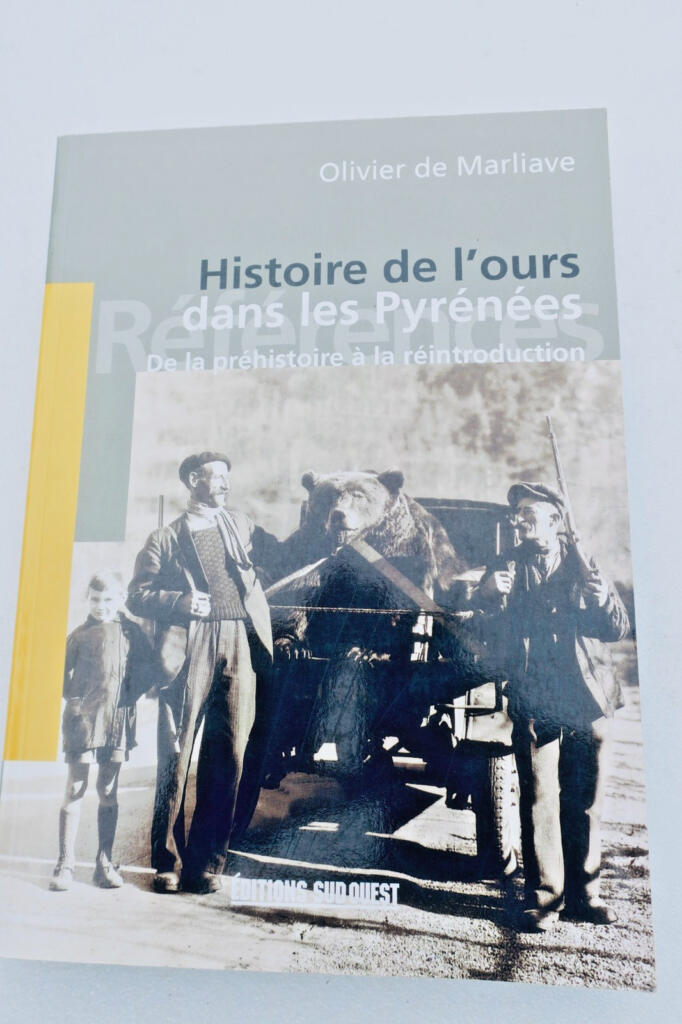 熊 Histoire de l'ours dans les Pyrénées