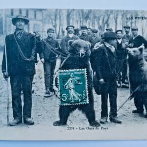 Ours les ours du pays Pyrénées 1914