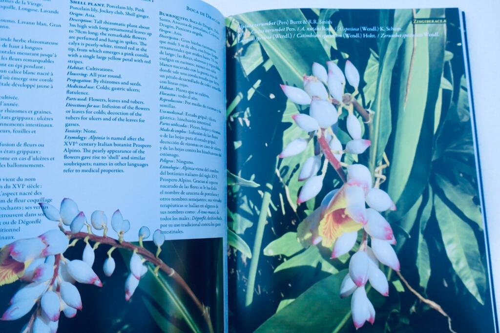 Medicinal Plants of the Tropics