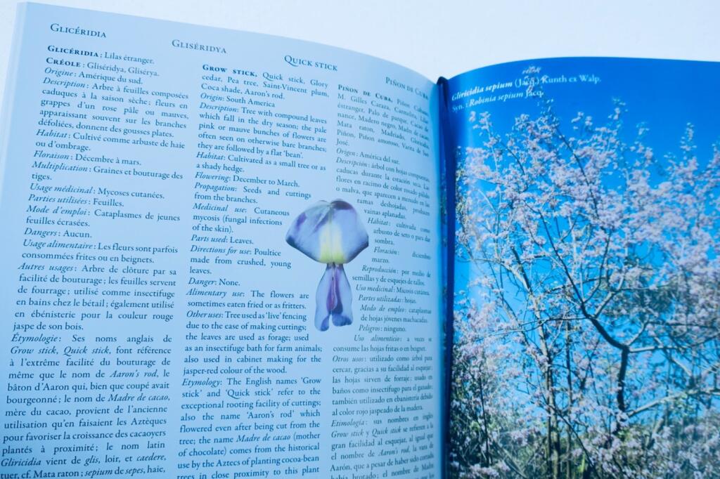 Medicinal Plants of the Tropics