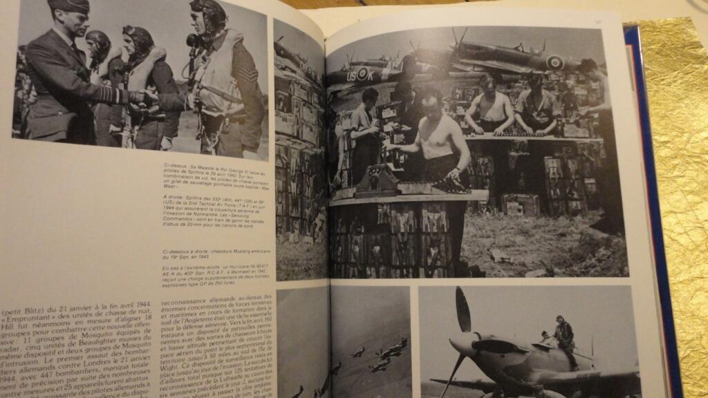 R.A.F ボウヤー、チャズ『RAF史』、1979