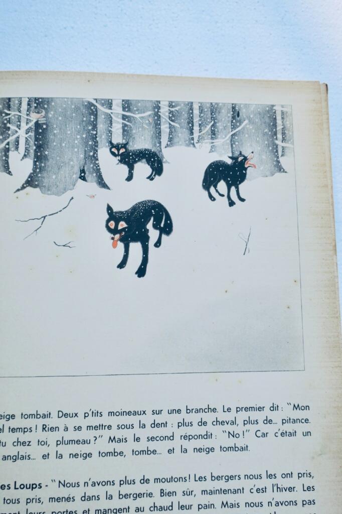 renard SAMIVEL GOUPIL 1953