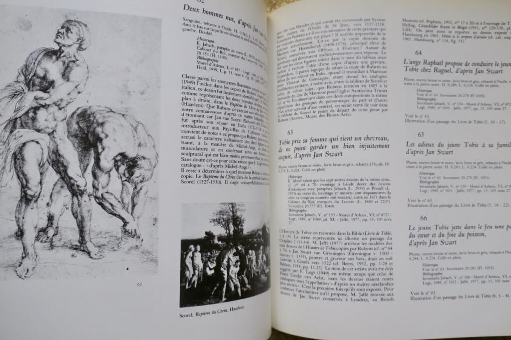 Rubens, his masters, his pupils: drawings from the Louvre Museum