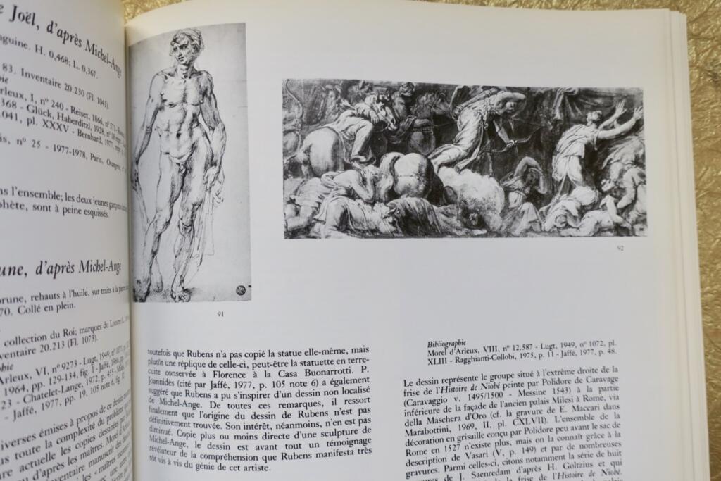 Rubens, his masters, his pupils: drawings from the Louvre Museum
