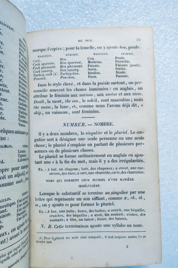 Sadler P. Praktische Grammatik der englischen Sprache oder einfache Methode 1856
