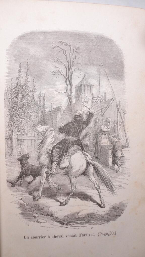 SEGUR illustriert (BAYARD E.) Der General Dourakine