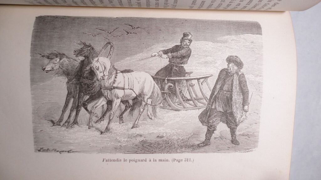 SEGUR illustriert (BAYARD E.) Der General Dourakine