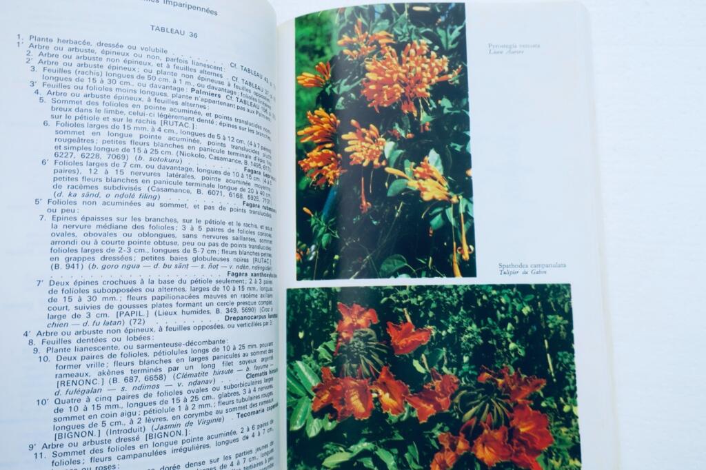 senegal BERHAUt Flore du Sénégal