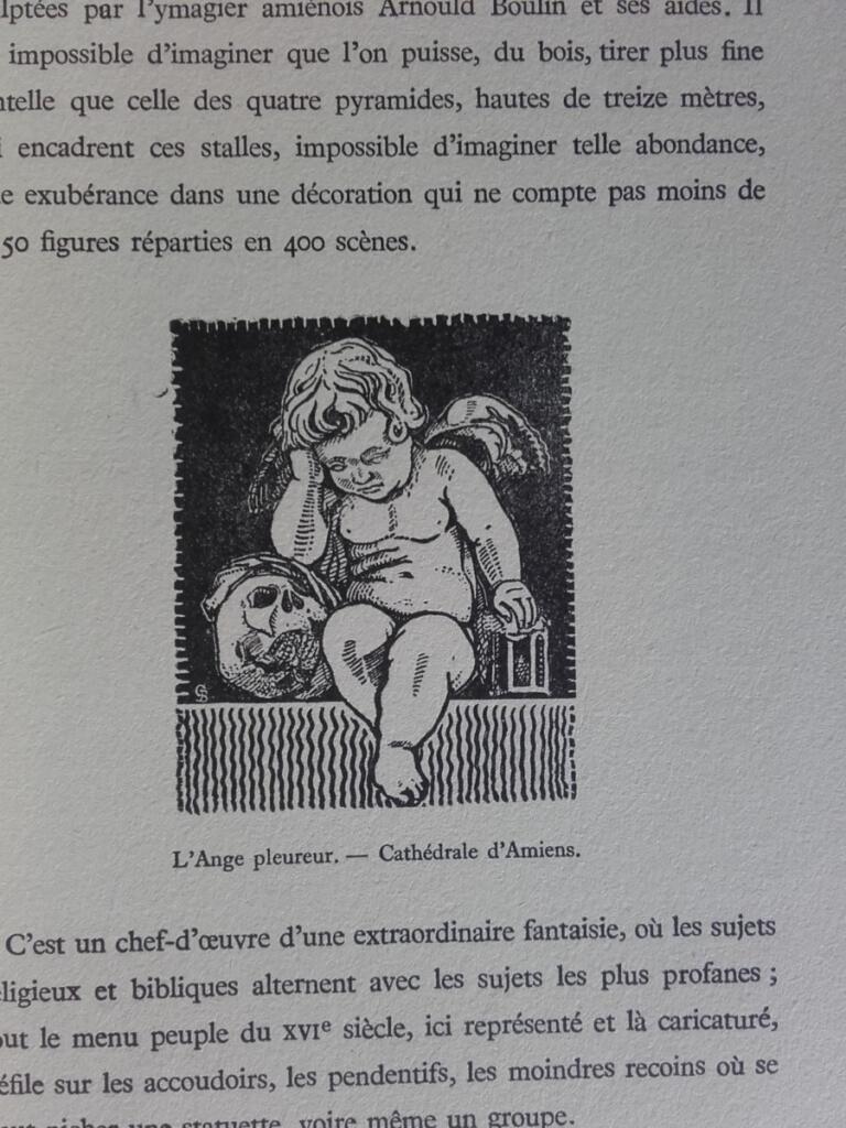 Sous le ciel du Nord Artois – Flandre – Picardie