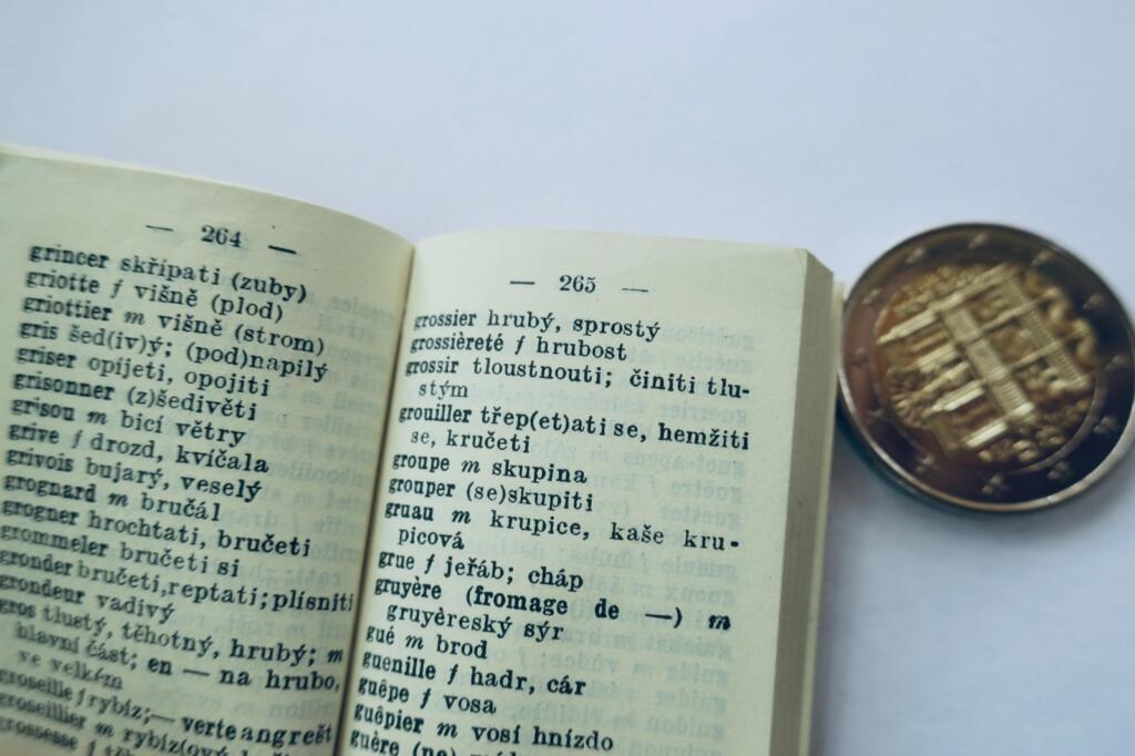 Übersetzer Wörterbuch Lilliput Französisch Tschechisch Miniatur 36 × 48 mm