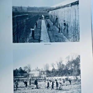 versailles ECOLE NATIONALE D'HORTICULTURE AU POTAGER ANCIEN POTAGER DU ROI