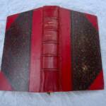 VIGNY Stello Les Consultations du Docteur noir - La Librairie Antique
