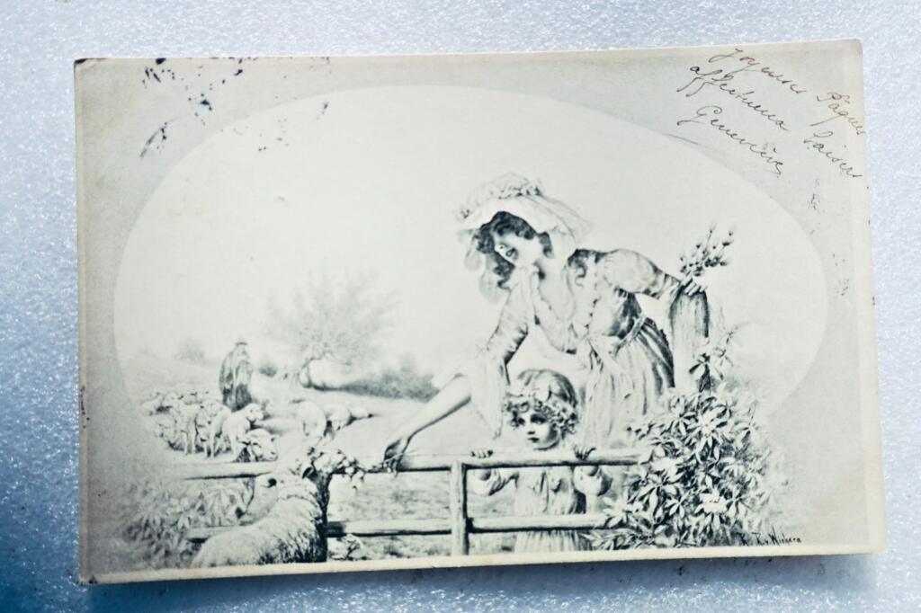 Wichera x2 老明信片 1903年与1906年
