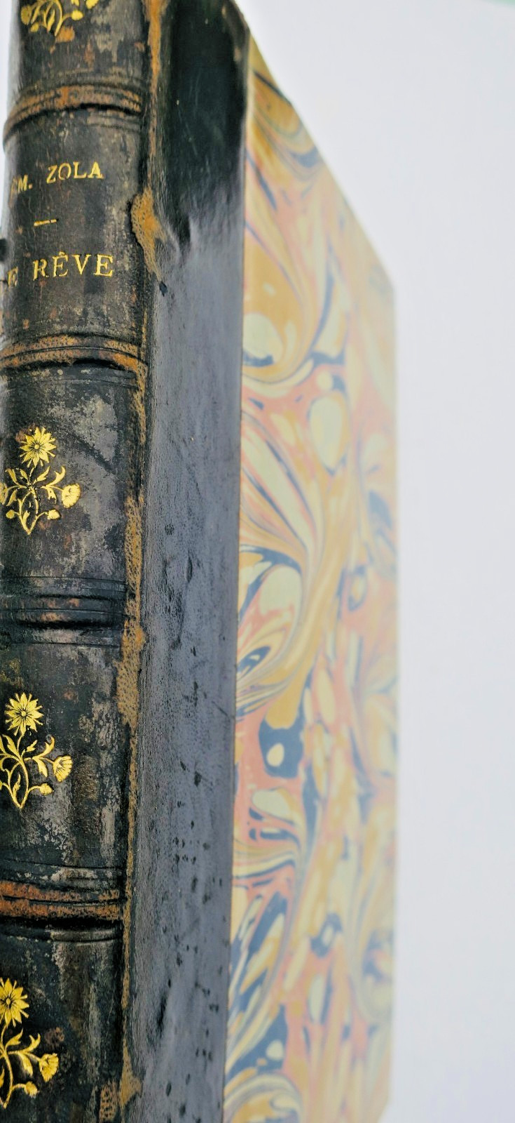 ZOLA SCHWABE METIVET Le Rêve EO - La Librairie Antique