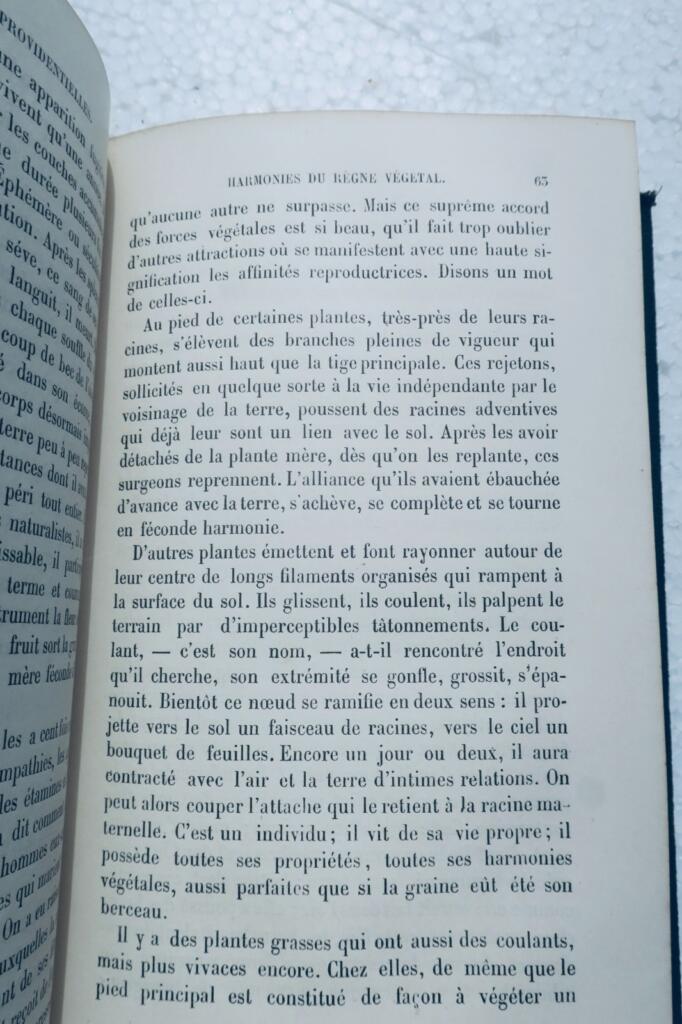 HARMONIES PROVIDENTIELLES 1877