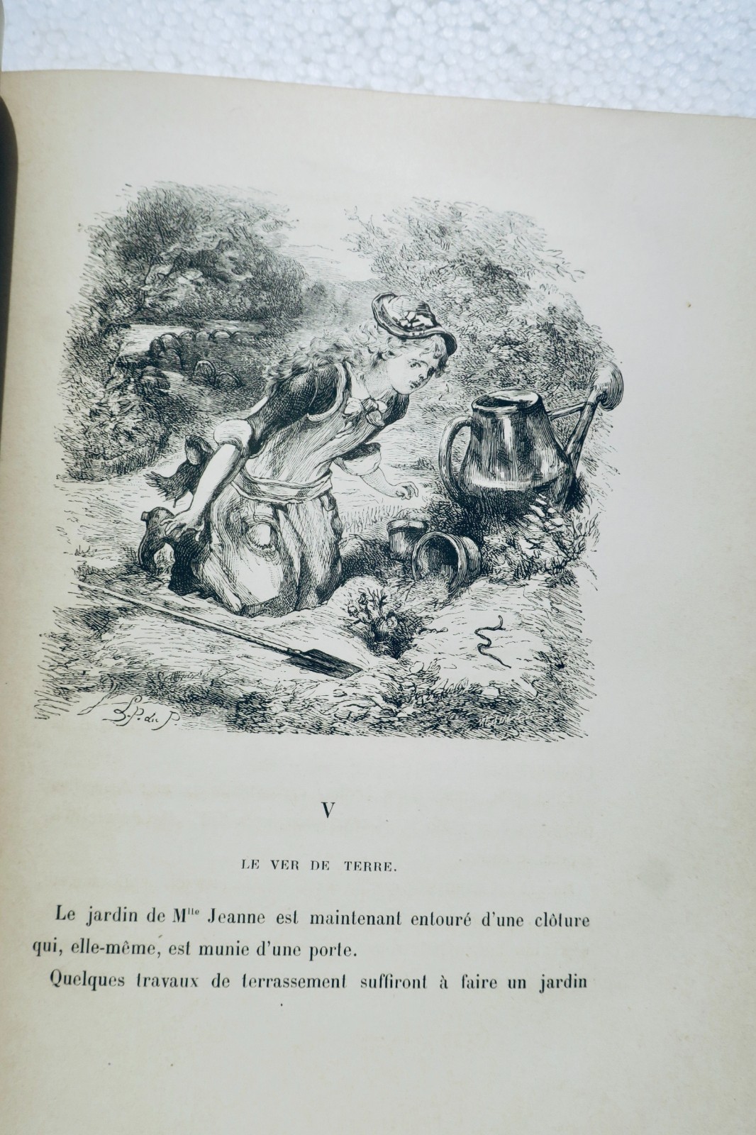 让娜小姐的花园:老园丁植物学 1887年
