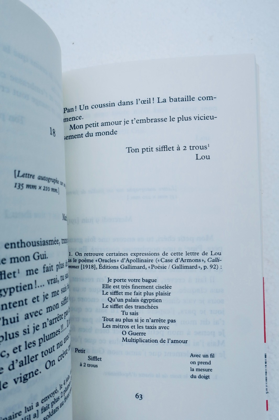 APOLLINAIRE COLIGNY-CHATILLON (Louise de) Lettres à Guillaume Apollinaire EO – Image 4