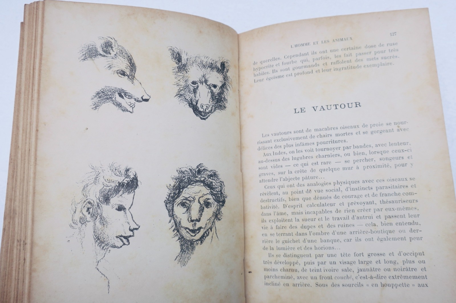 art divinatoire les visages et les âmes – Image 3