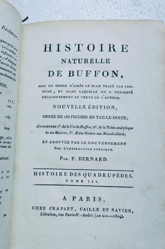 buffon HISTOIRE NATURELLE DE BUFFON 1804