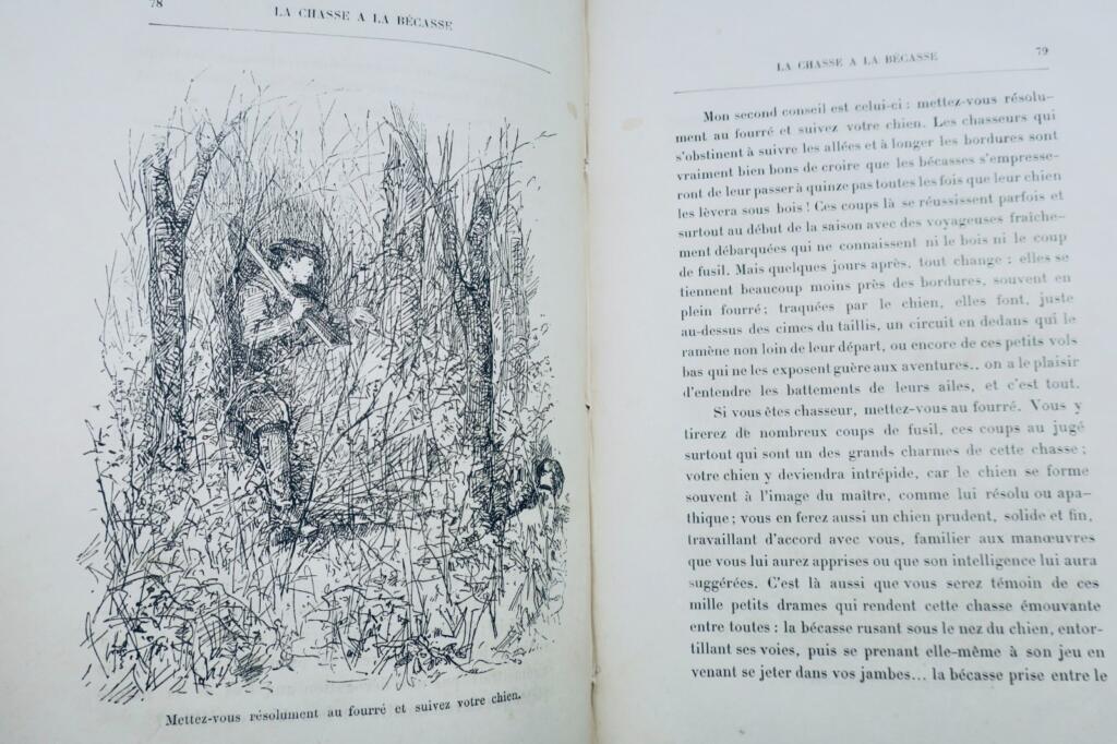 Jagd auf die Bekassine Audebert