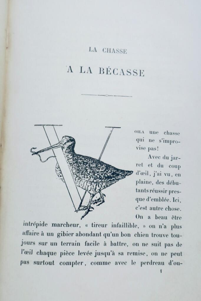 Jagd auf die Bekassine Audebert