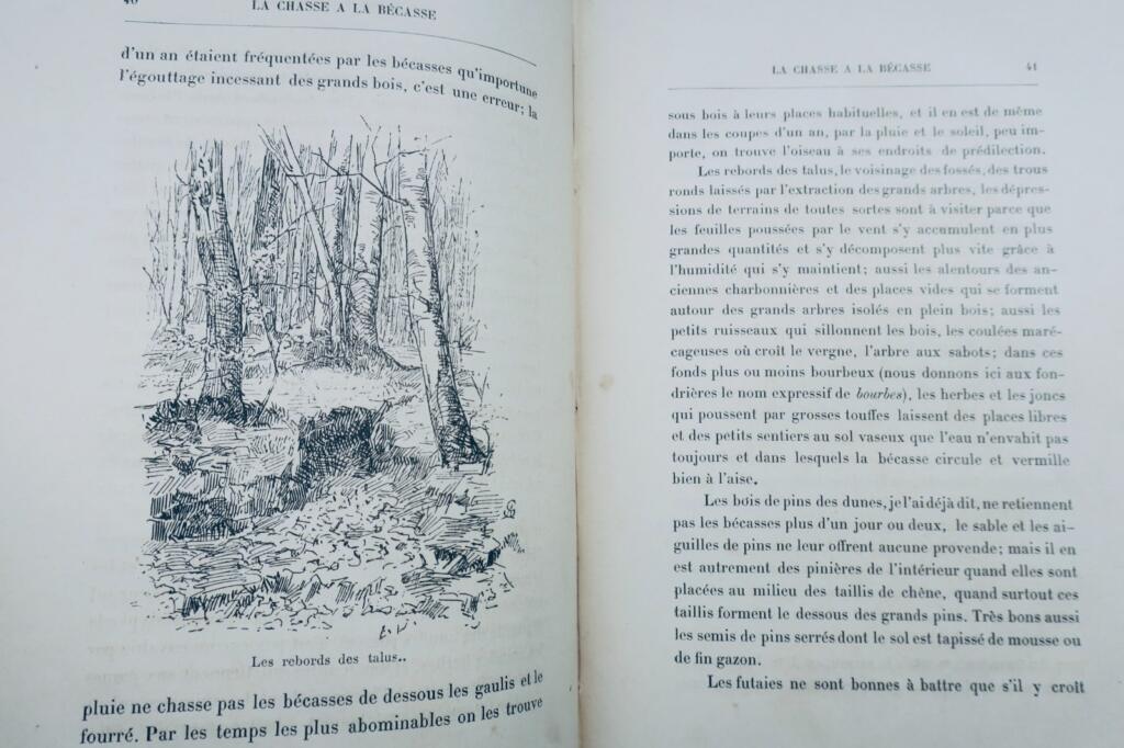Jagd auf die Bekassine Audebert