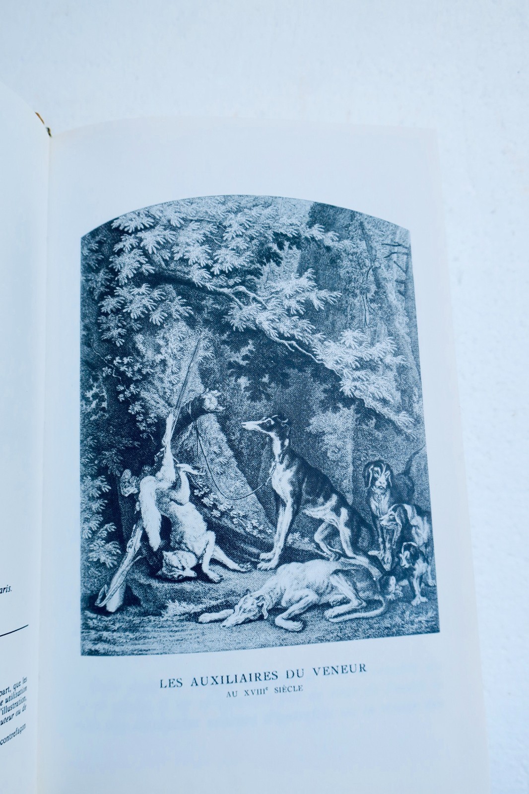 Jagdregeln nach Le Verrier de la Conterie – Die Schule der Parforcejagd