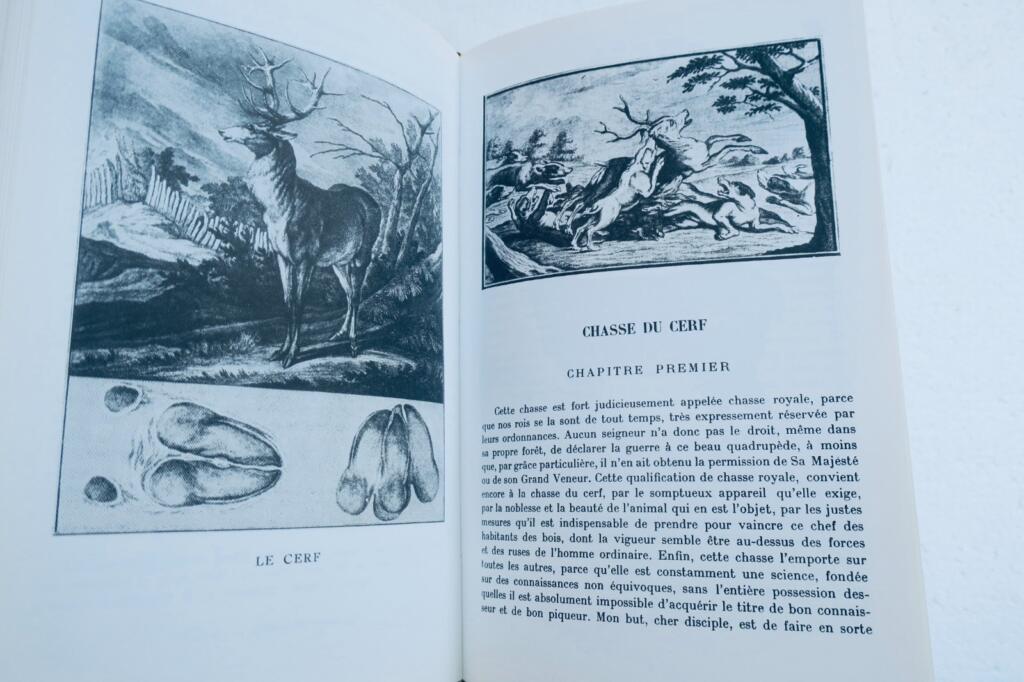 chasse LE VERRIER DE LA CONTERIE L’Ecole de la chasse aux chiens courants