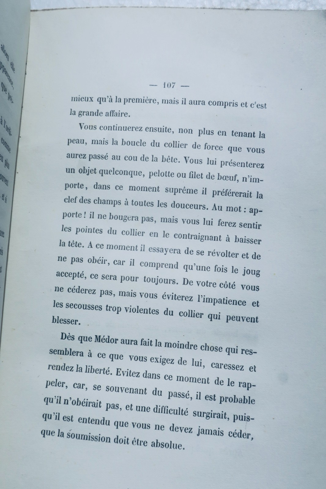 獵人手冊:指示犬狩獵指南 1857年