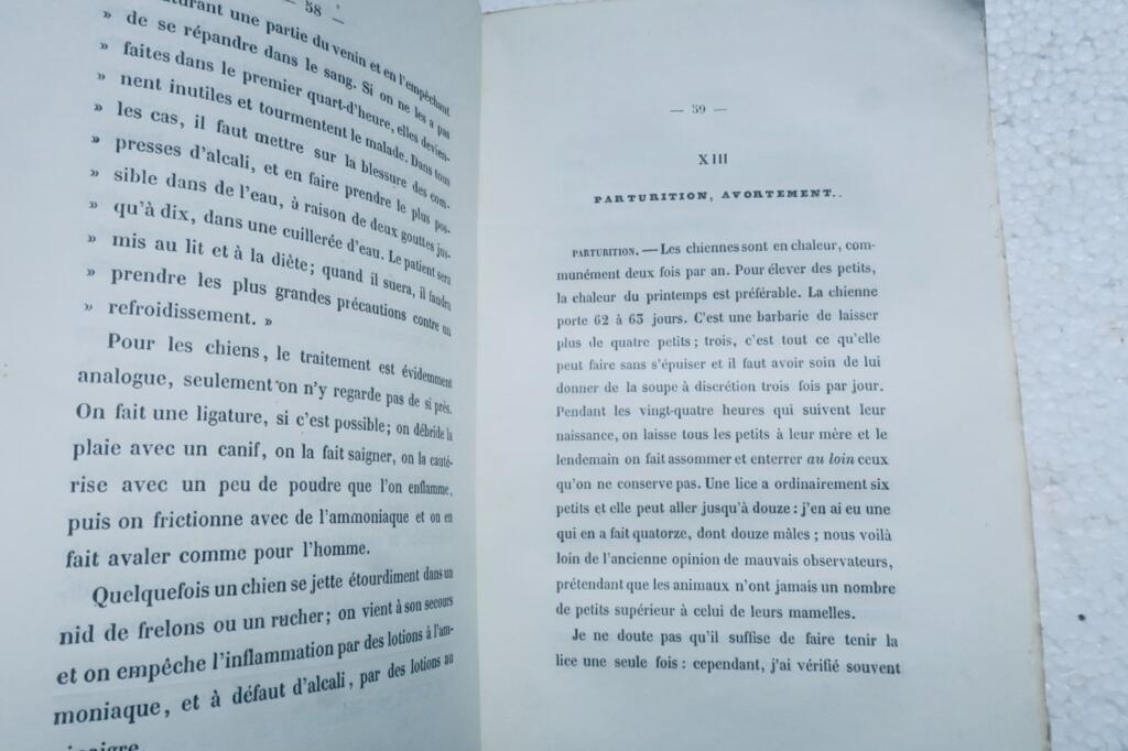 狩猟 1857年 鳩犬を用いた狩猟の手引書
