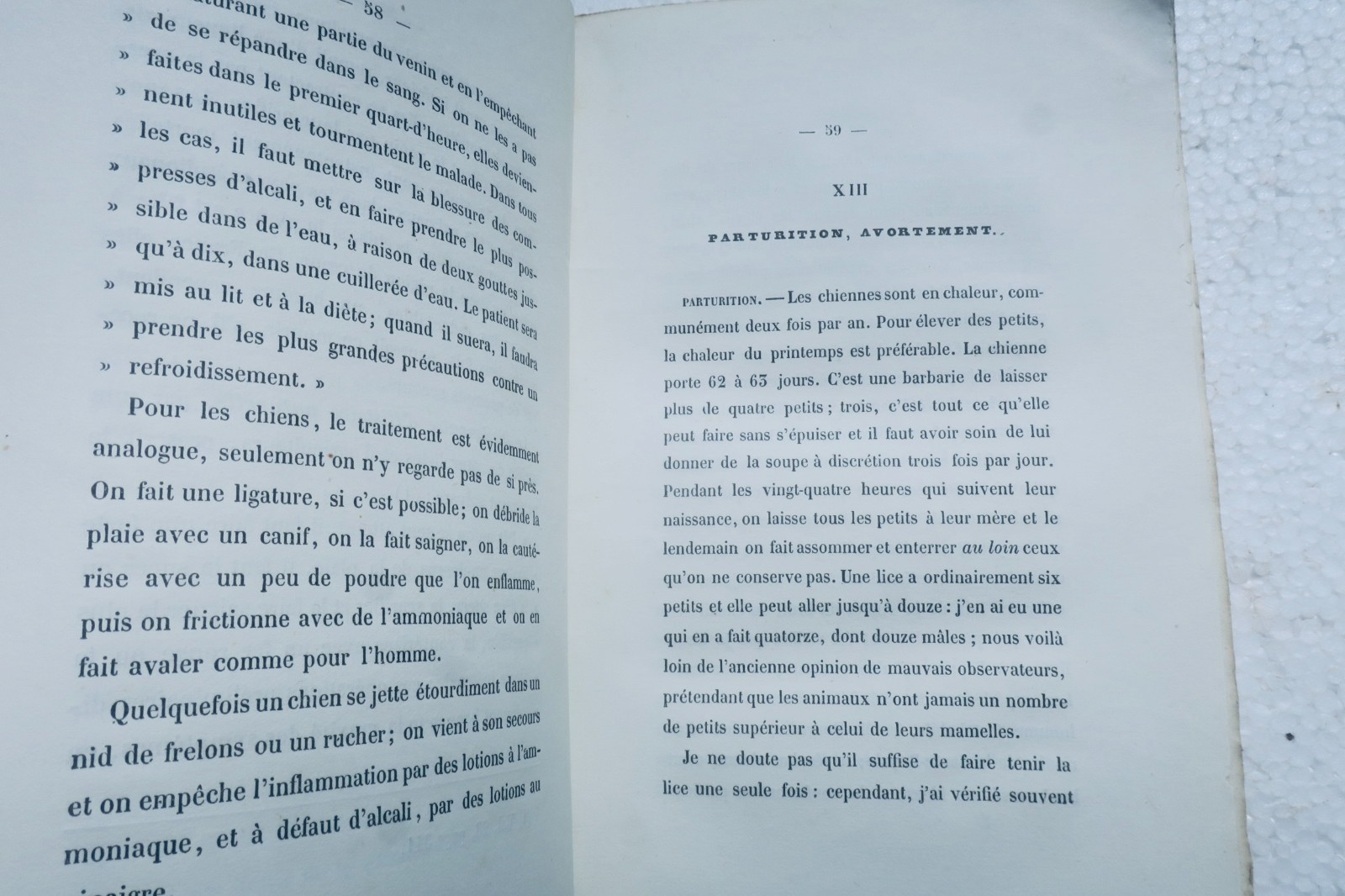 獵人手冊:指示犬狩獵指南 1857年