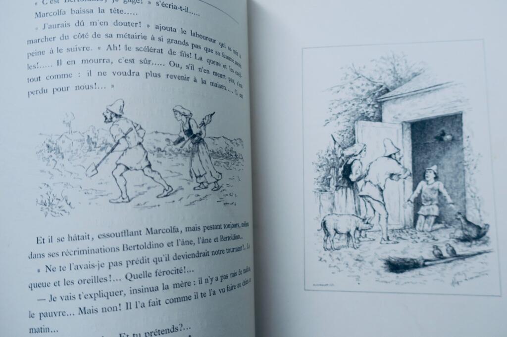 contes et Histoires pour les enfants 1883、Gillotによるイラスト
