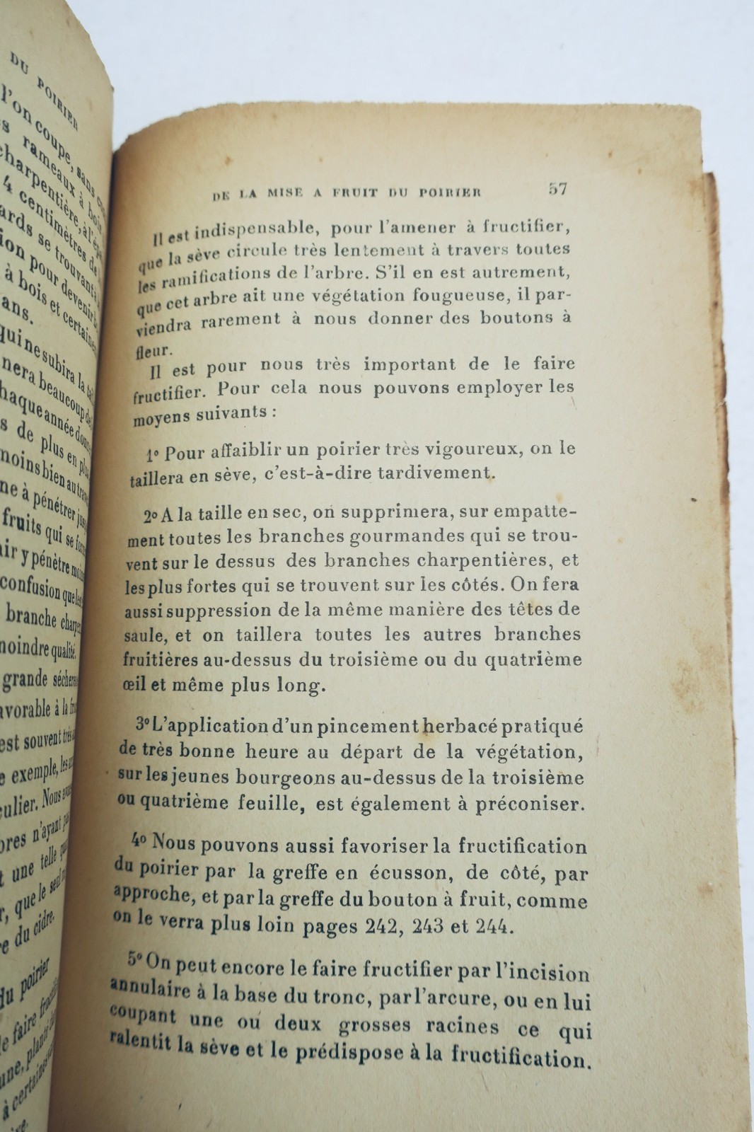 梨树与苹果树栽培 1921